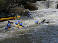 Rafting 05 08 017