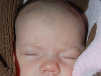 dsc 0079