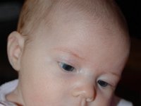 dsc 0140