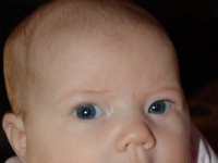 dsc 0141
