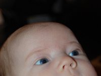 dsc 0147