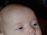 dsc 0153