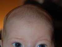 dsc 0154