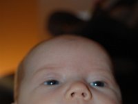 dsc 0156