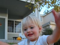 dsc 0241