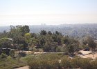 DSC 0108