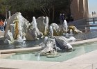 DSC 0116