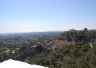 DSC 0126