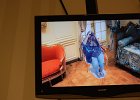 DSC 0175