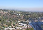 DSC 0232