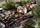 DSC 0257