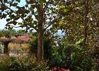 DSC 0262