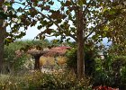 DSC 0263