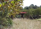 DSC 0264