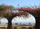 DSC 0279