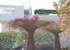DSC 0287