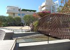 DSC 0294