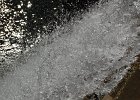 DSC 0296