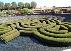 DSC 0300