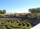 DSC 0301