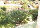 DSC 0307