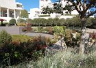 DSC 0315