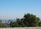 DSC 0318