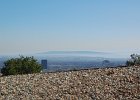 DSC 0319