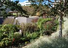 DSC 0337