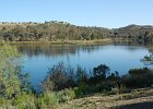 DSC 0012