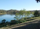 DSC 0013