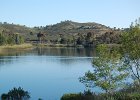 DSC 0016