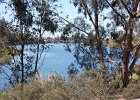 DSC 0018