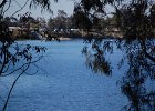 DSC 0019