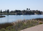 DSC 0036