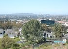 DSC 0042