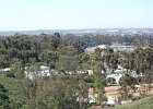 DSC 0045