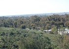 DSC 0046