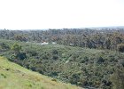 DSC 0047