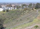 DSC 0053
