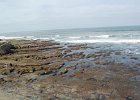 DSC 0005