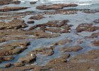 DSC 0006