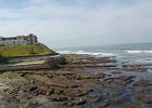 DSC 0007
