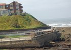 DSC 0008