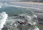 DSC 0014