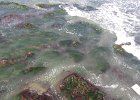 DSC 0016