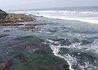 DSC 0017