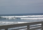 DSC 0020