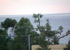 DSC 0024