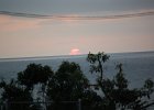 DSC 0025